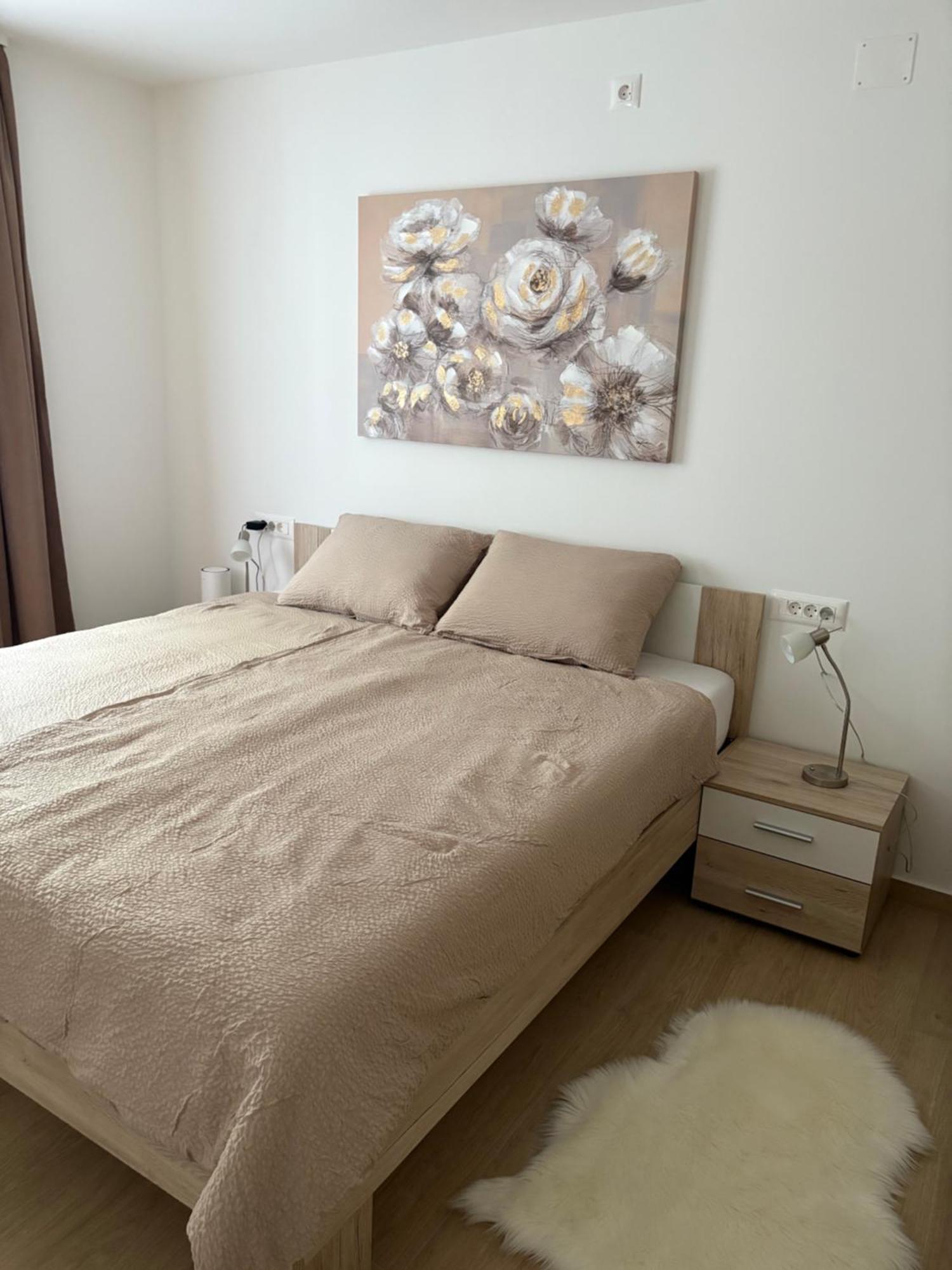 Apartma Tatjana Center *