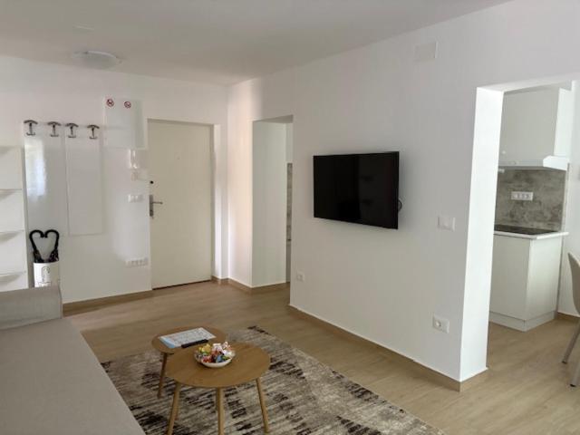 Tatjana Center Apartma *