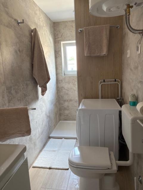 Tatjana Center Apartma Pula